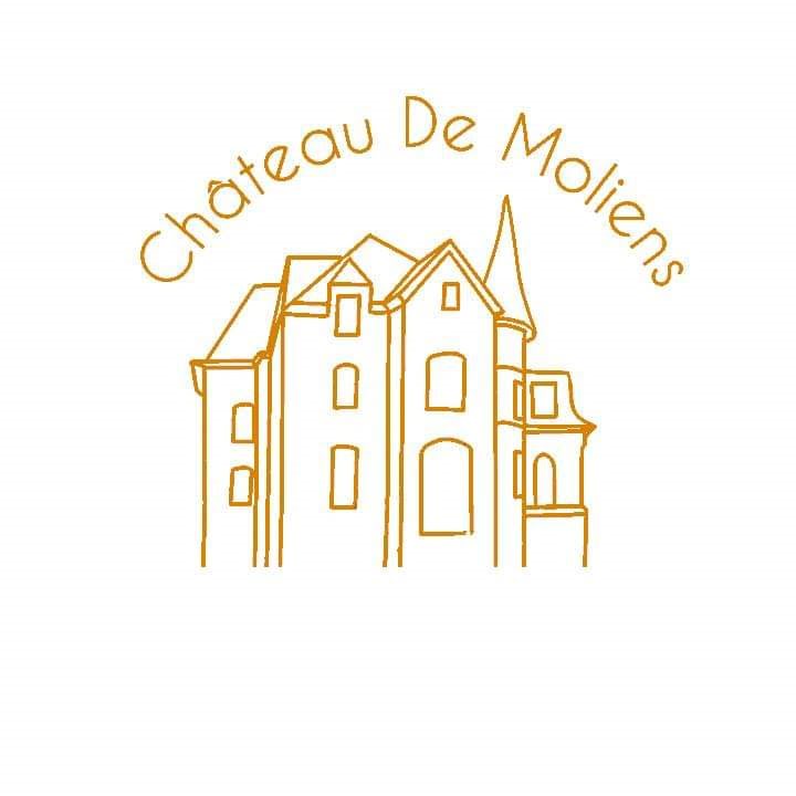 logo chateau de moliens